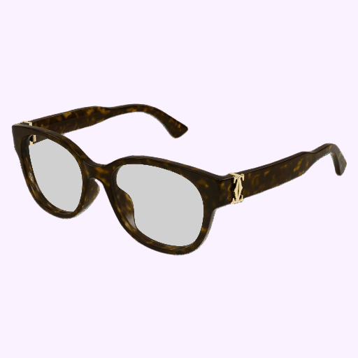 Cartier CT0452OA-002 53 Woman Metal Sunglasses – Lexor Miami