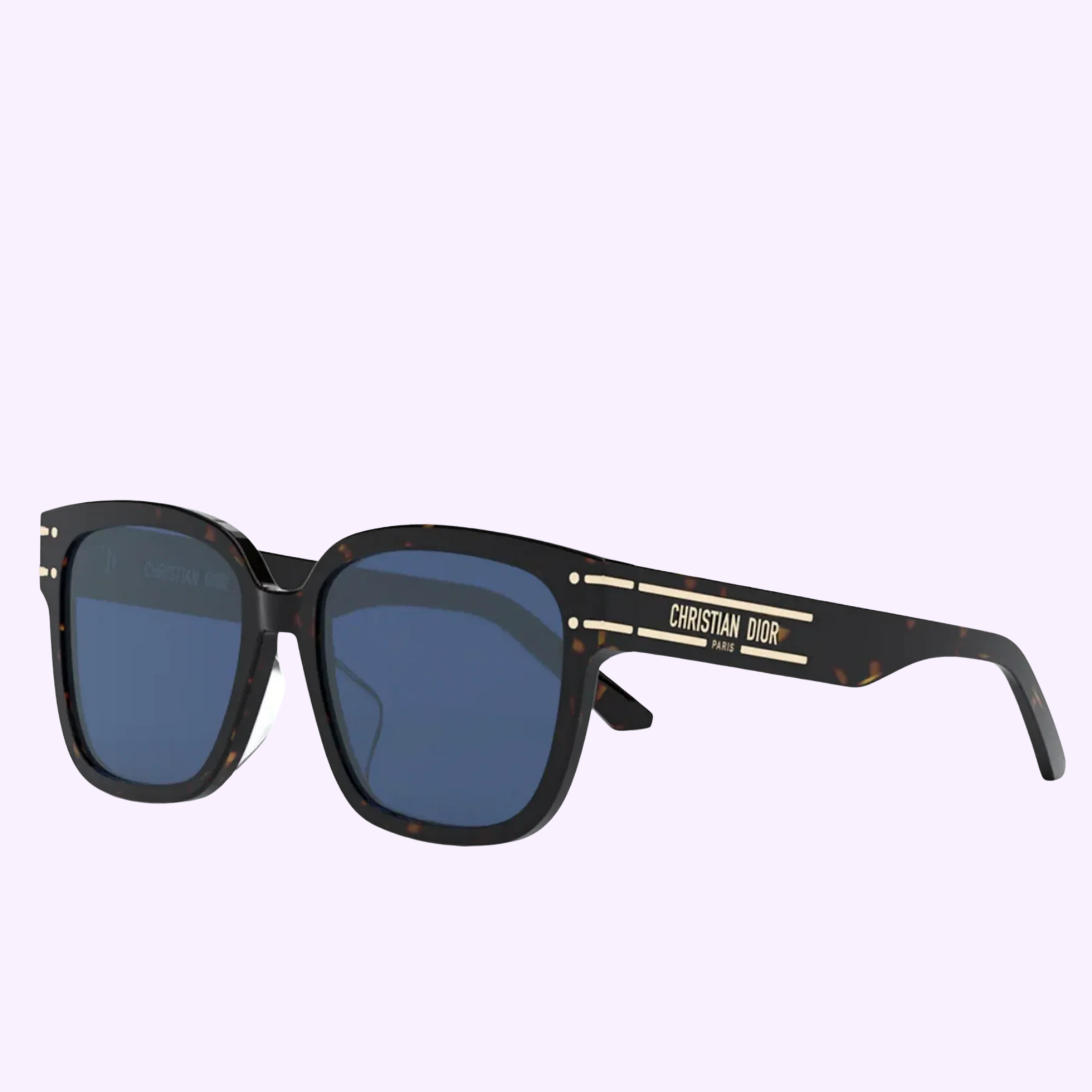 Christian Dior DIORSIGNATURE S7F 20B0 Unisex Sunglasses – Lexor Miami