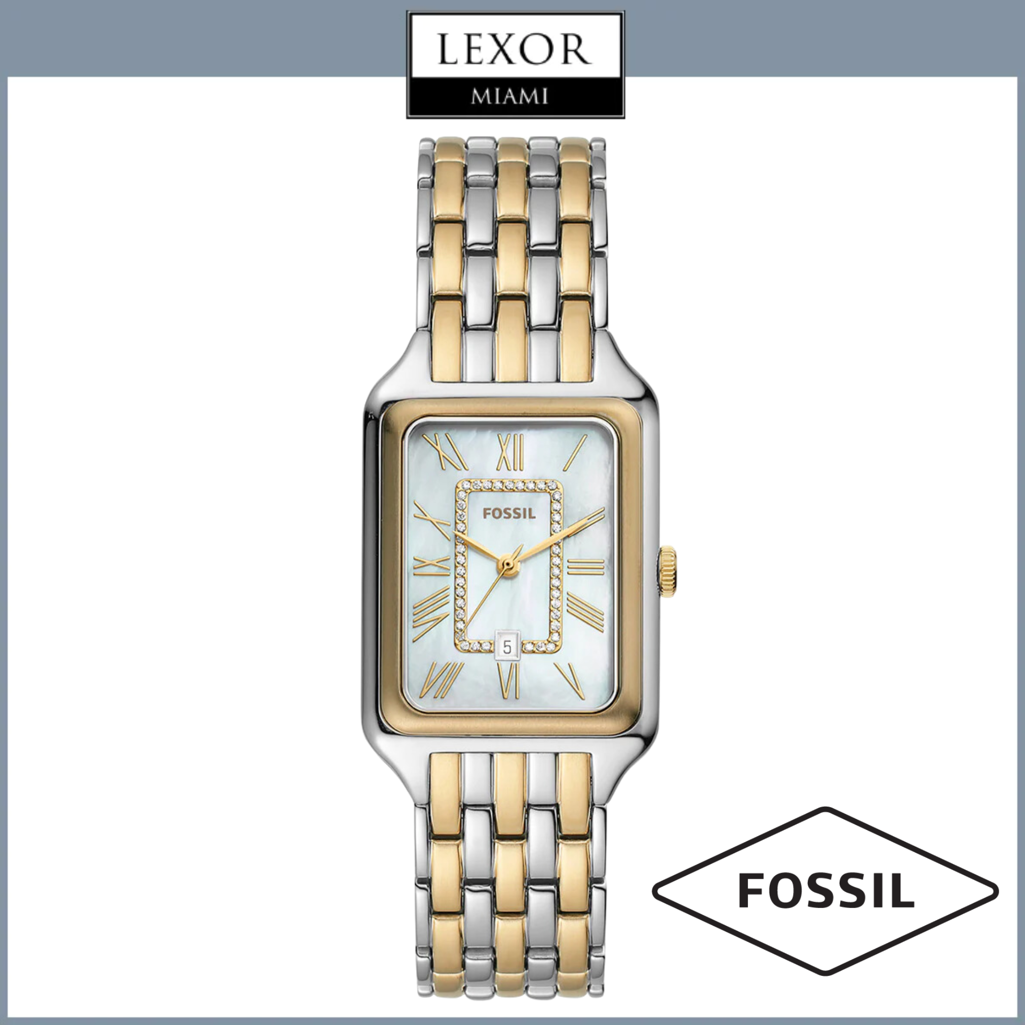 Fossil Watches ES5305 RAQUEL Upc 796483623958 Lexor Miami