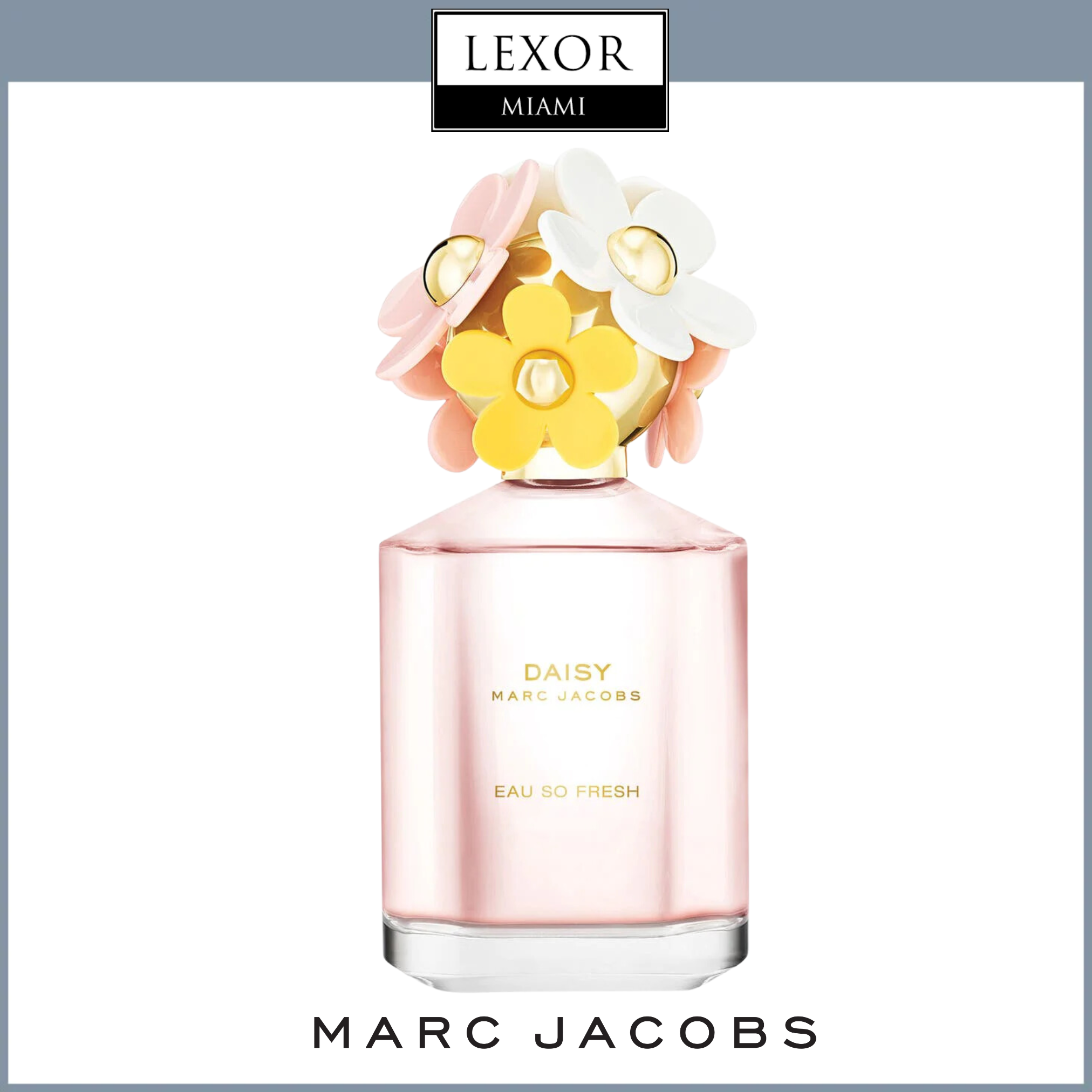 Marc jacobs fragrance daisy eau de toilette on sale
