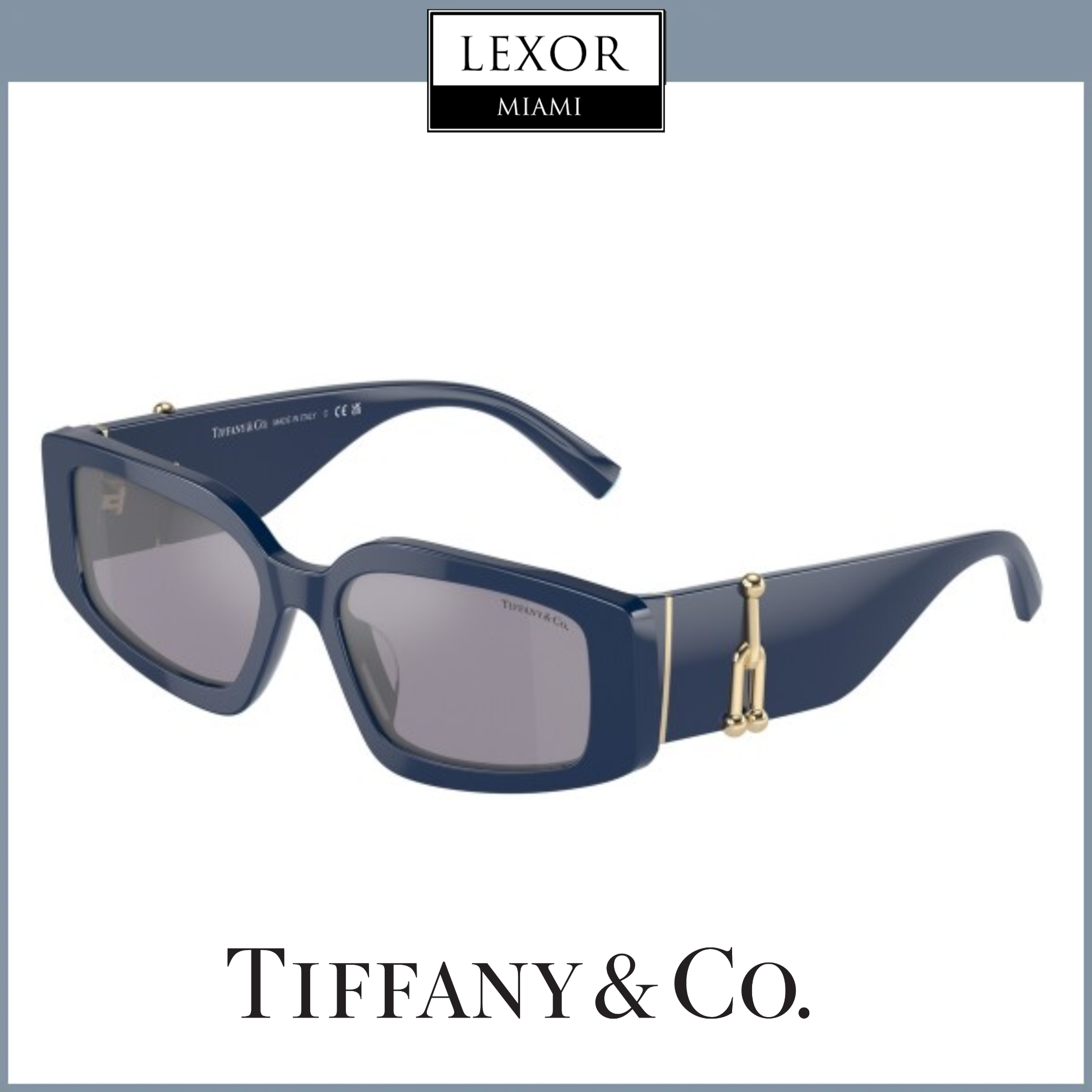 Tiffany & Co. 0TF4208U 83852S 54 Women Sunglasses – Lexor Miami