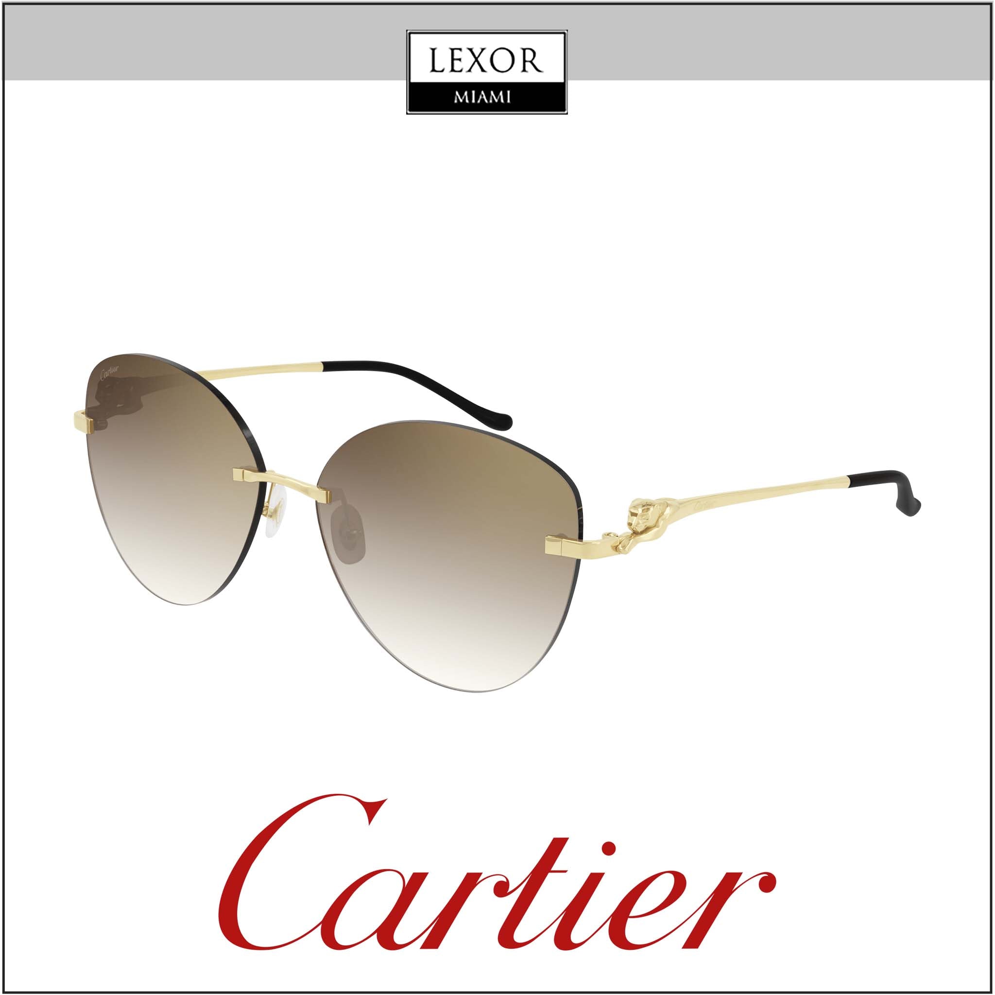 サングラス Cartier SS25 Cartier - CT0569SA - 002 (CT0569SA 002) Cartier CT0569SA | 002 – Leidmann