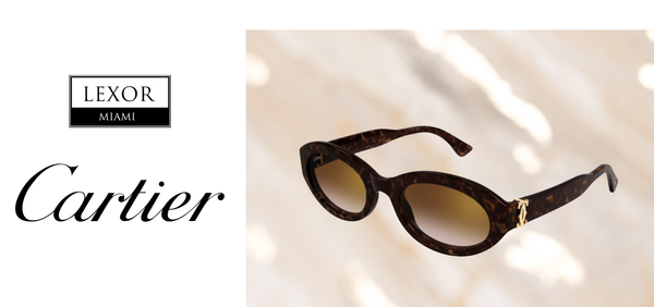 Cartier Sunglasses CT0588S-002 Havana Brown 53 for Woman - Buy at Lexor Miami