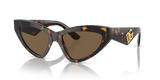 Dolce & Gabbana 0DG4439 502/73 - Havana Woman Sunglasses