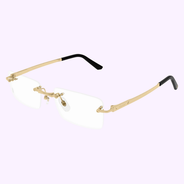 Cartier Sunglasses CT0511O-001 55 upc 843023179090