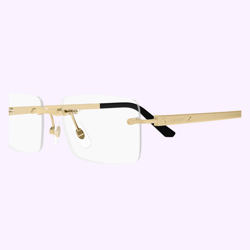 Cartier Sunglasses CT0511O-001 55 upc 843023179090