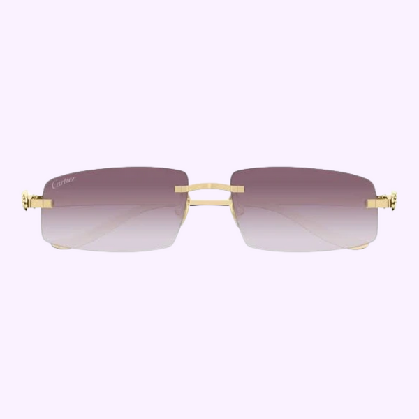 Cartier Sunglasses CT0505S-004 58 upc 843023178871