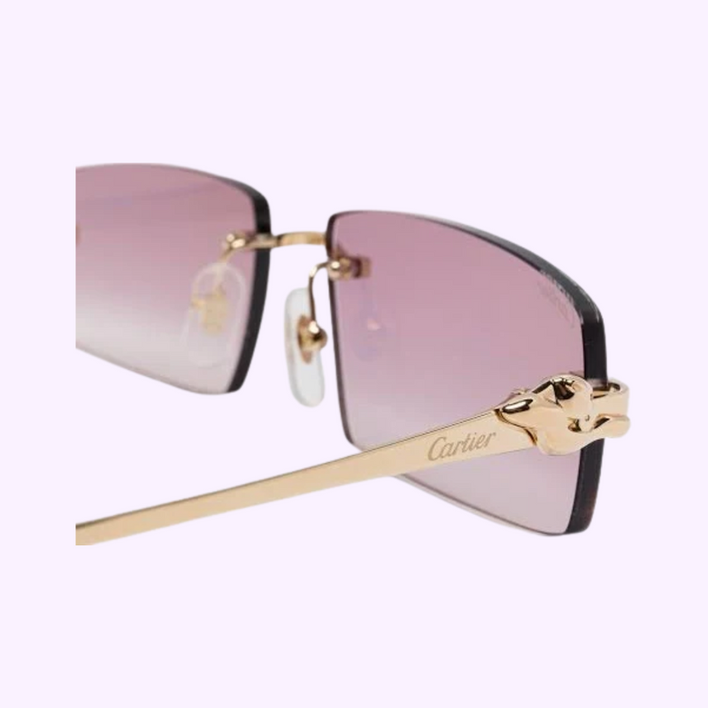 Cartier Sunglasses CT0505S-004 58 upc 843023178871