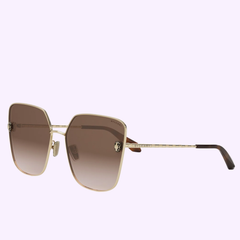 Bvlgari Sunglasses SERPENTI BV40009U 6233F showcase square gold metal frames, brown gradient lenses, and brown temple tips, displayed on a light purple background.