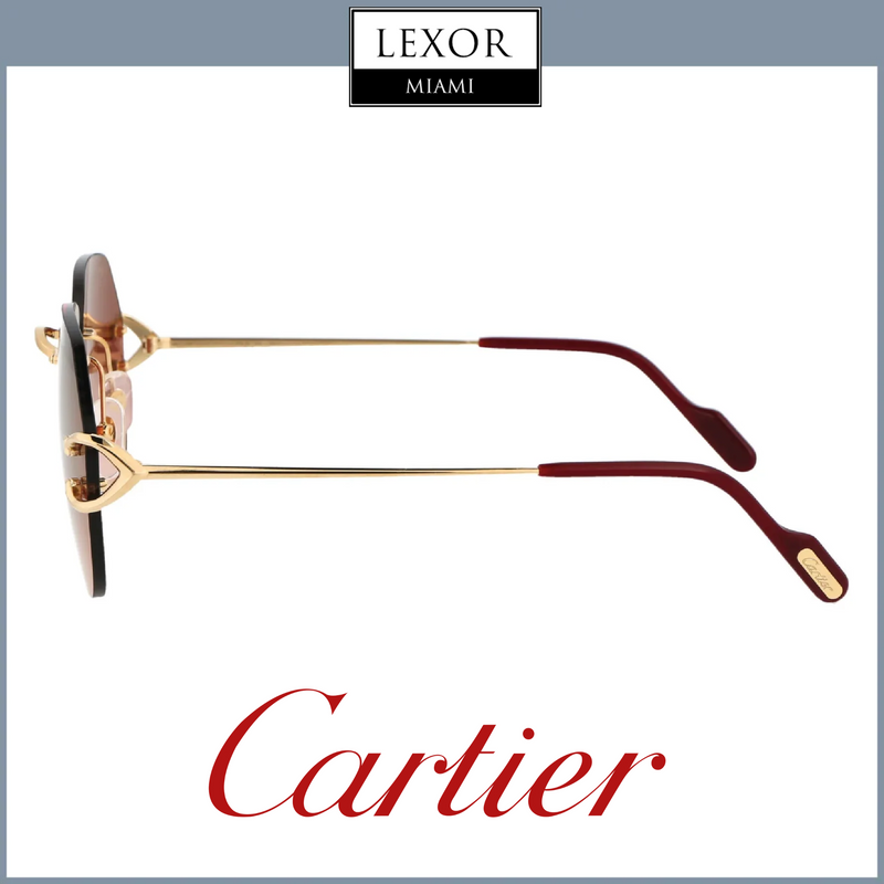 Cartier CT0001CS 014 53 Woman Metal Sunglasses