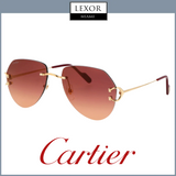 Cartier CT0001CS 014 53 Woman Metal Sunglasses