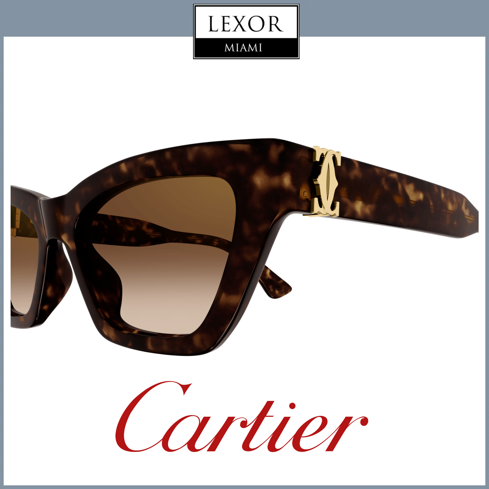 Cartier CT0437S-002 53 Sunglass WOMAN – Lexor Miami