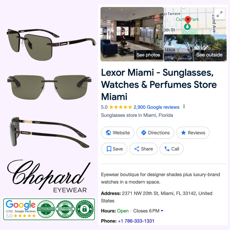 CHOPARD Sunglasses SCHL22V610360 upc: 190605515211