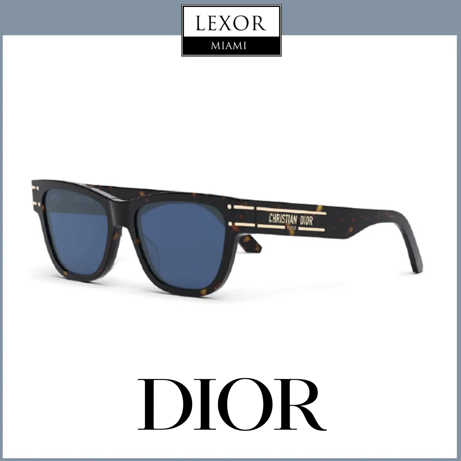 Christian Dior Signature S6U 20B0 54 Unisex Sunglasses – Lexor Miami