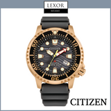 Citizen BN0163-00H MEN ECO WR200 SSRG STRA GRAY Men Watches