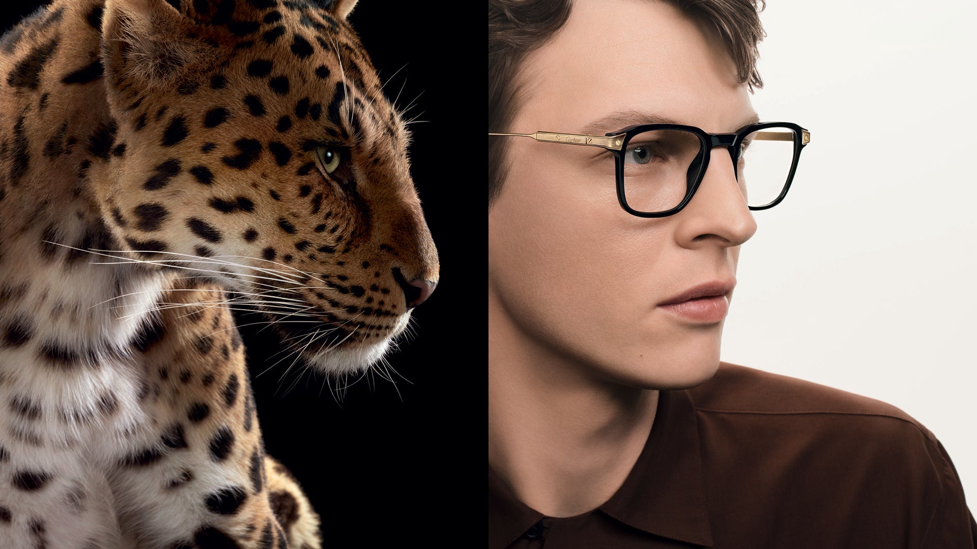 Authorized Cartier Sunglasses Dealer Lexor Miami – Page 2
