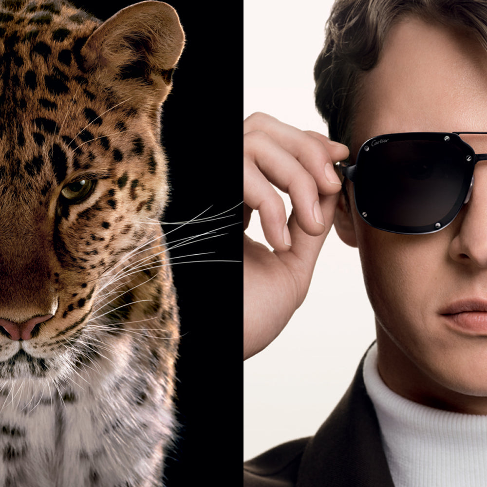 Cartier Sunglasses Men – Page 2 – Lexor Miami