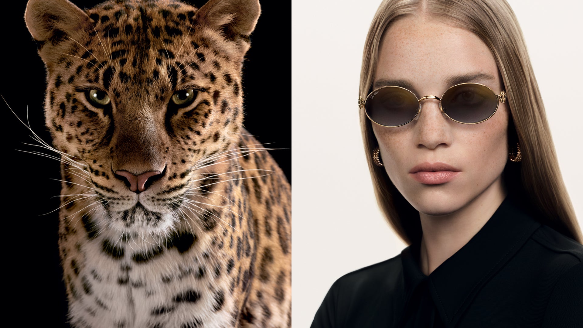 Authorized Cartier Sunglasses Dealer Lexor Miami