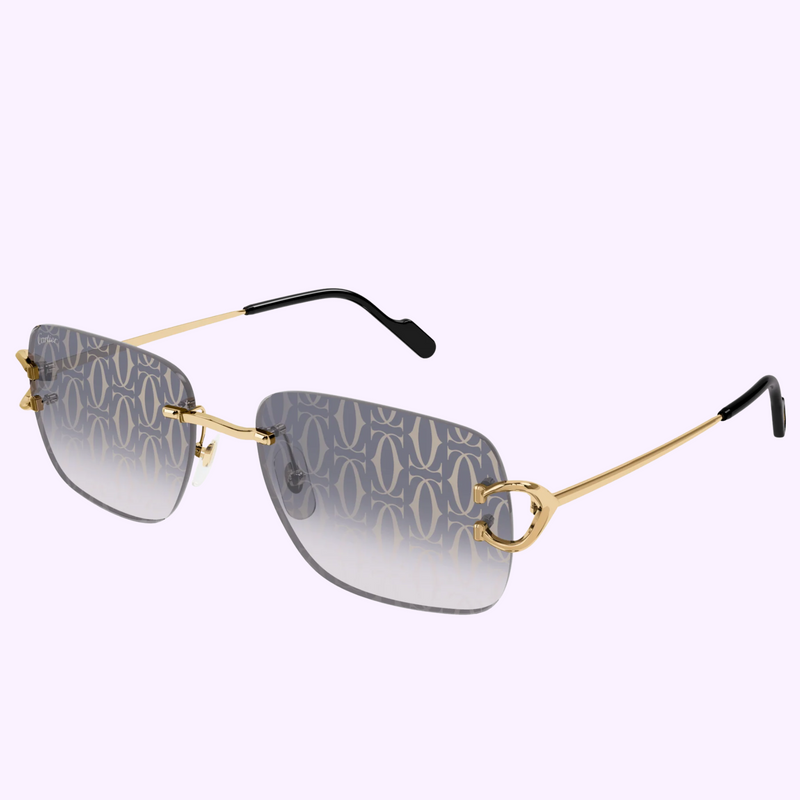 Gama CORE RANGE CT0330S-008 59 Gafas de sol HOMBRE METAL