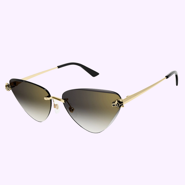 Cartier CORE RANGE CT0399S-001 62 Sunglasses – Lexor Miami