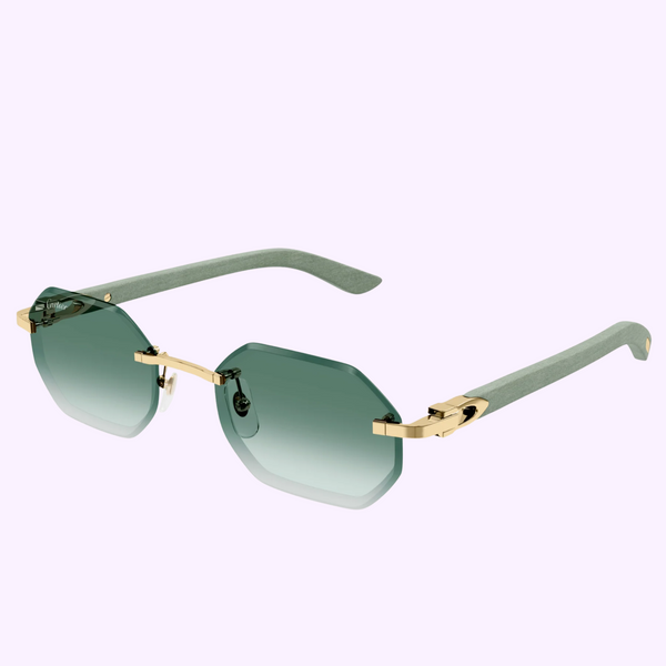 Cartier CT0439S-004 54 Woman Sunglasses