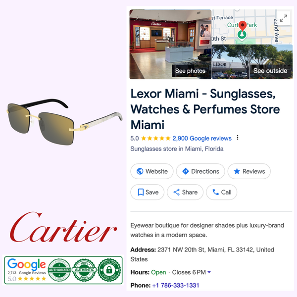 Cartier Horn Sunglasses CT0030RS 001 58 Women