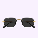 Front view Cartier Men Sunglasses CT0616S-001
