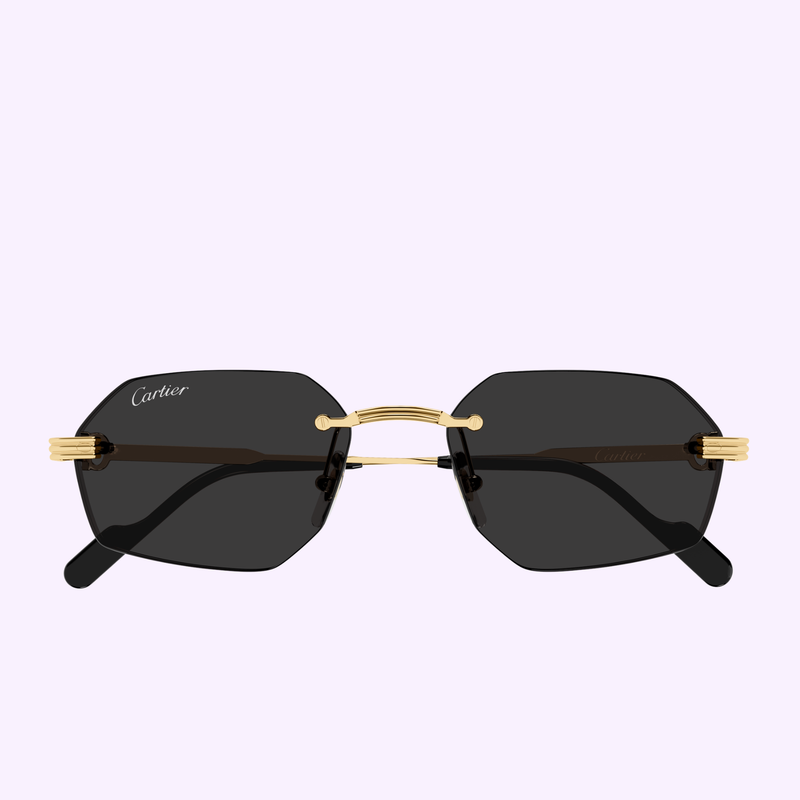 Cartier CT0616S-001, vista lateral con detalle de varilla