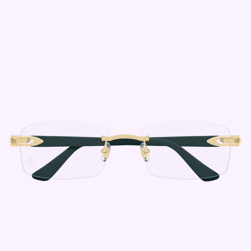 Cartier Sunglasses CT0287O-011 56 upc 843023179878