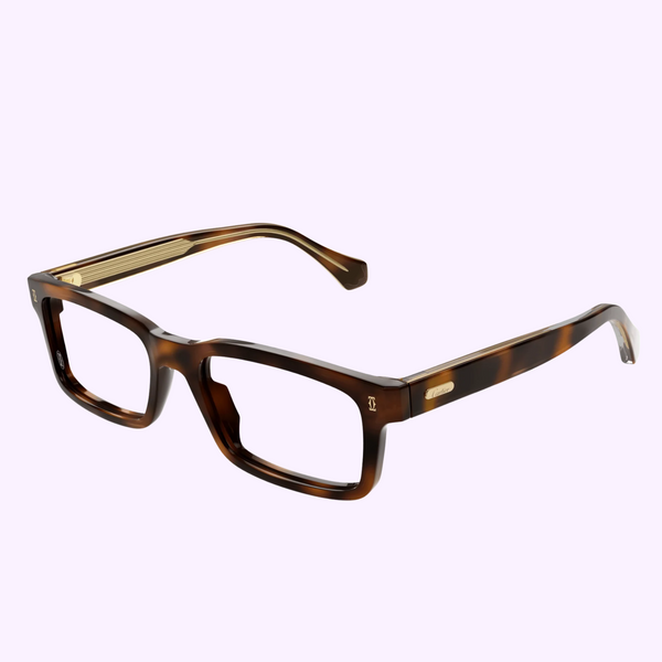 Cartier Sunglasses CT0291O-012 56 upc 843023179939