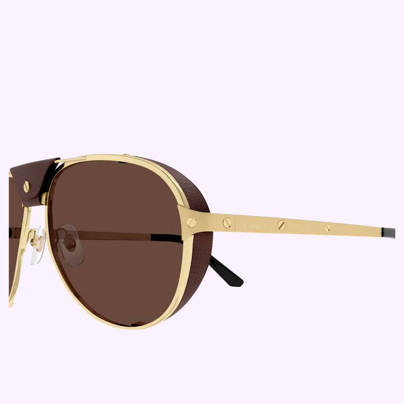 Cartier Sunglasses CT0296S-005 61 upc 843023181628