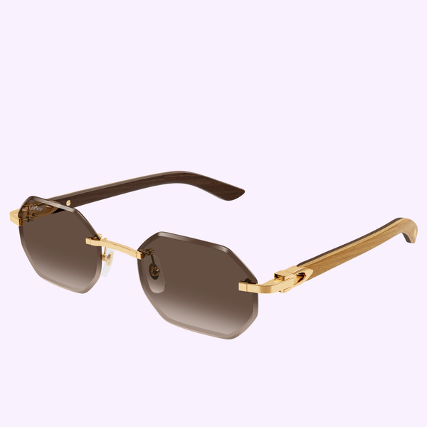 Cartier Sunglasses CT0439S-006 54 Men