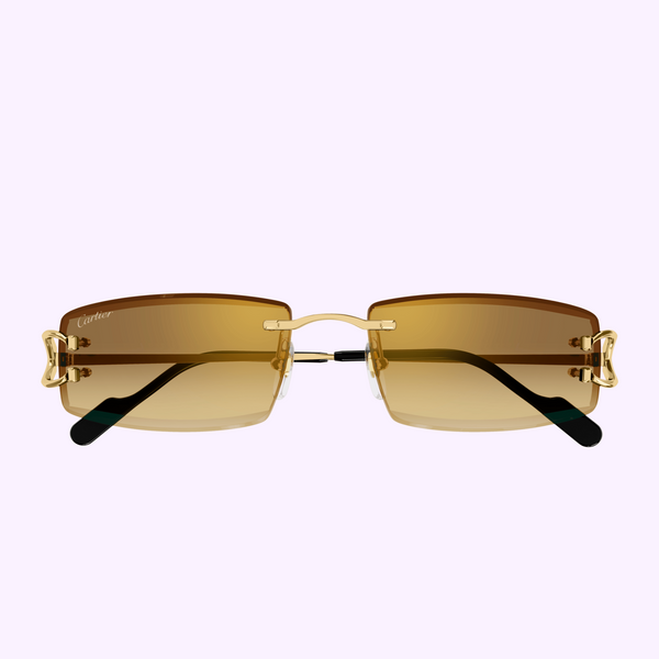 Cartier Sunglasses CT0465S-004 56 Men upc 843023175641