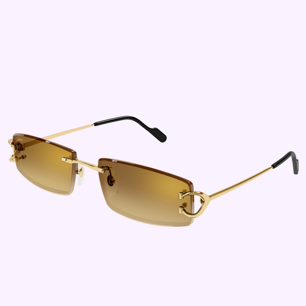 Cartier Sunglasses CT0465S-004 56 Men upc 843023175641
