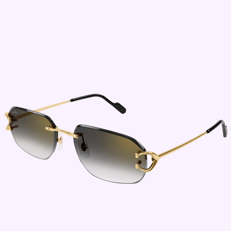 Gafas de sol Cartier CT0468S-001 58 para hombre upc 843023175825