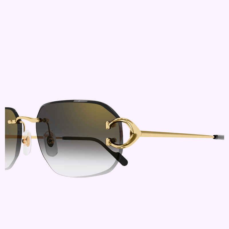 Gafas de sol Cartier CT0468S-001 58 para hombre upc 843023175825