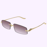 Cartier Sunglasses CT0505S-004 58 upc 843023178871
