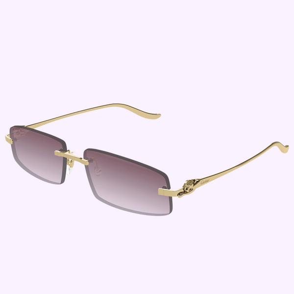 Cartier Sunglasses CT0505S-004 58 upc 843023178871
