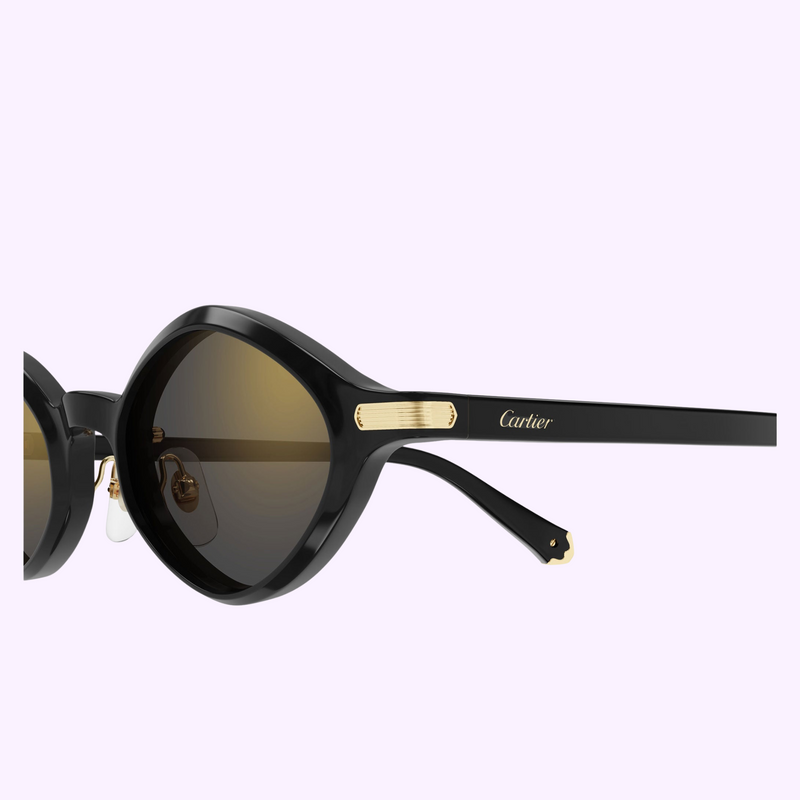 Cartier Sunglasses CT0540S-001 48 Men upc 843023181055