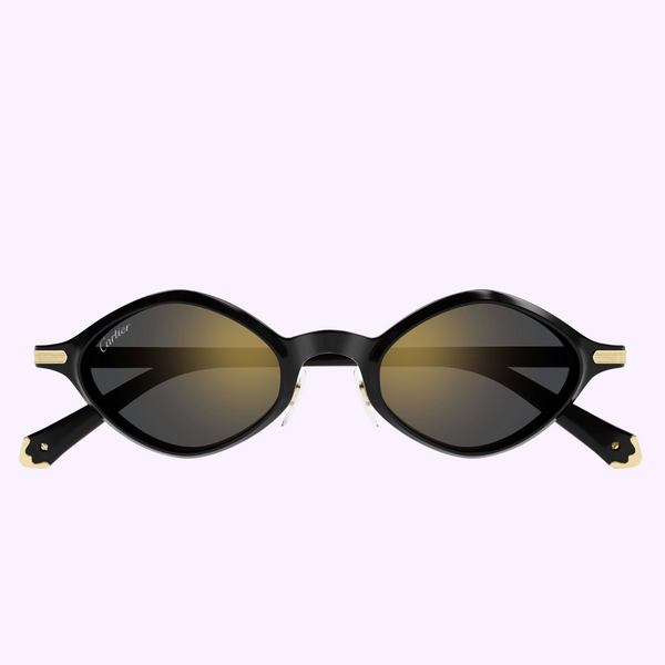 Cartier Sunglasses CT0540S-001 48 Men upc 843023181055
