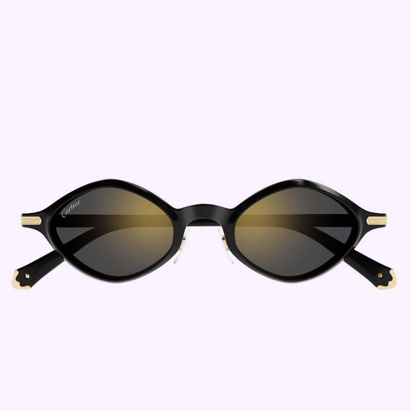 Cartier Sunglasses CT0540S-001 48 Men upc 843023181055