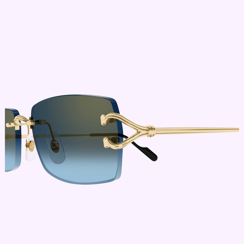 Cartier Sunglasses CT0550S-002 56 upc 843023181468