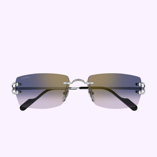 Cartier Sunglasses CT0550S-003 56 upc 843023181475