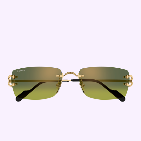 Cartier Sunglasses CT0550S-006 56
