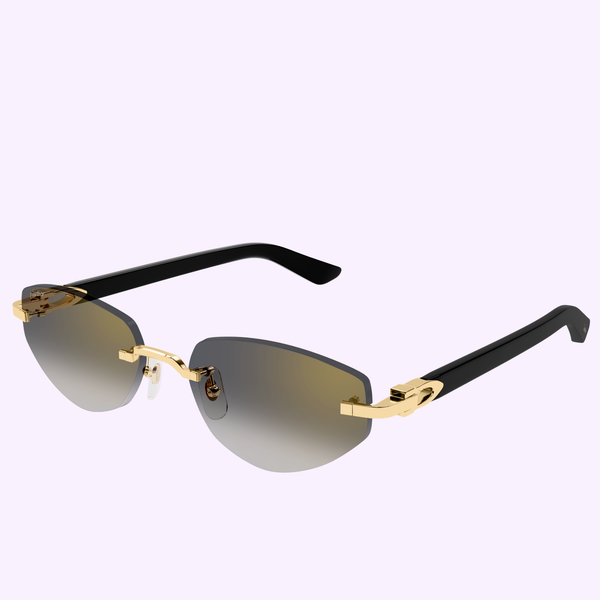Cartier Sunglasses CT0580S-001 56 Woman