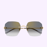 Cartier Sunglasses CT0591S-001 55