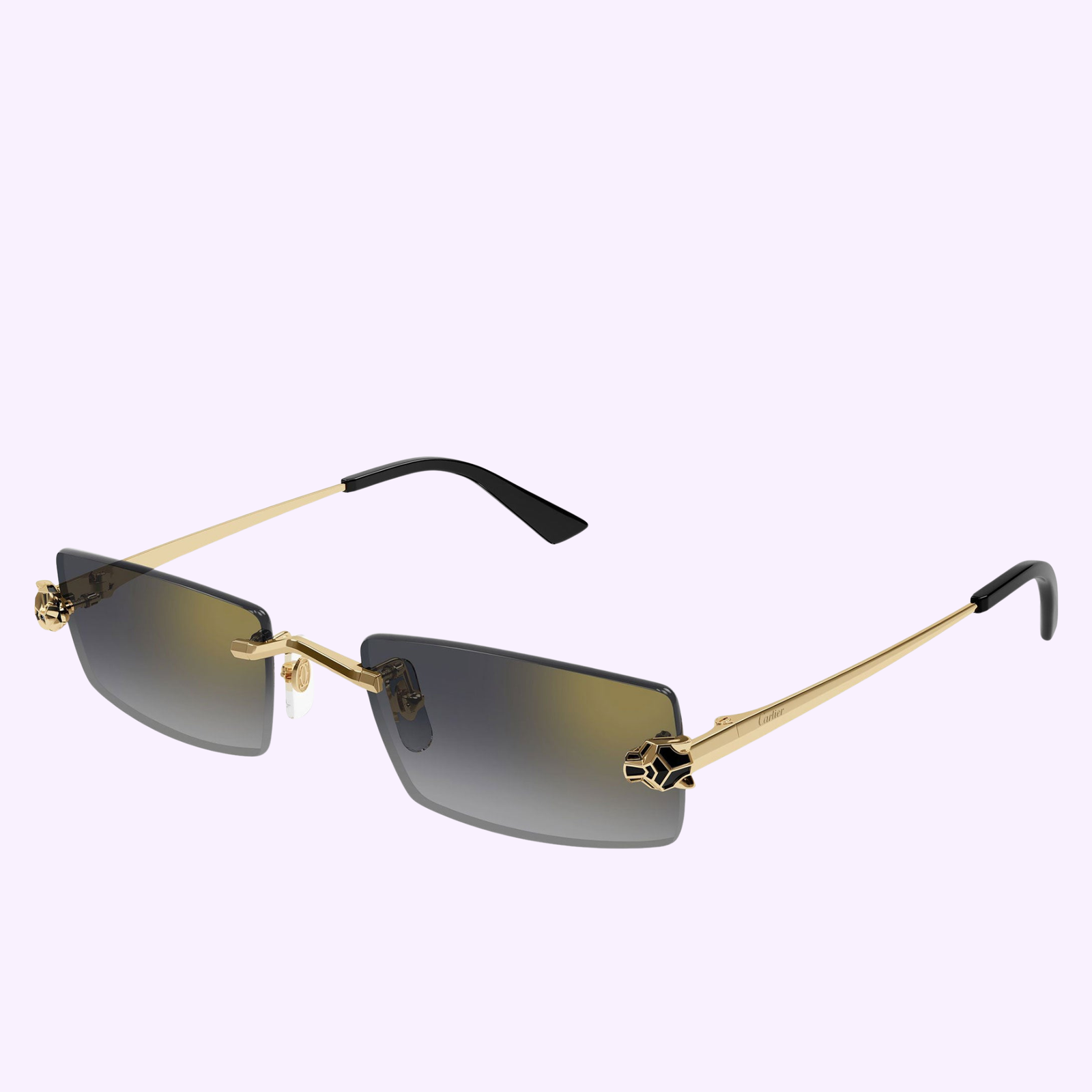 Cartier Sunglasses CT0598S-001 55 – Lexor Miami