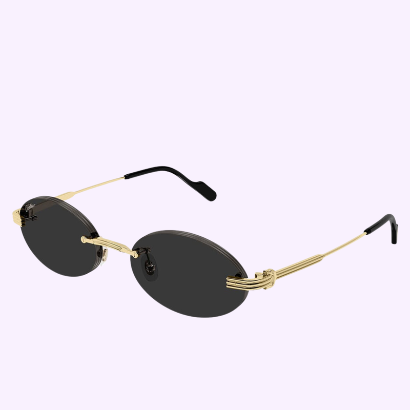 Cartier Sunglasses CT0615S-001 53 full-rim metal frame