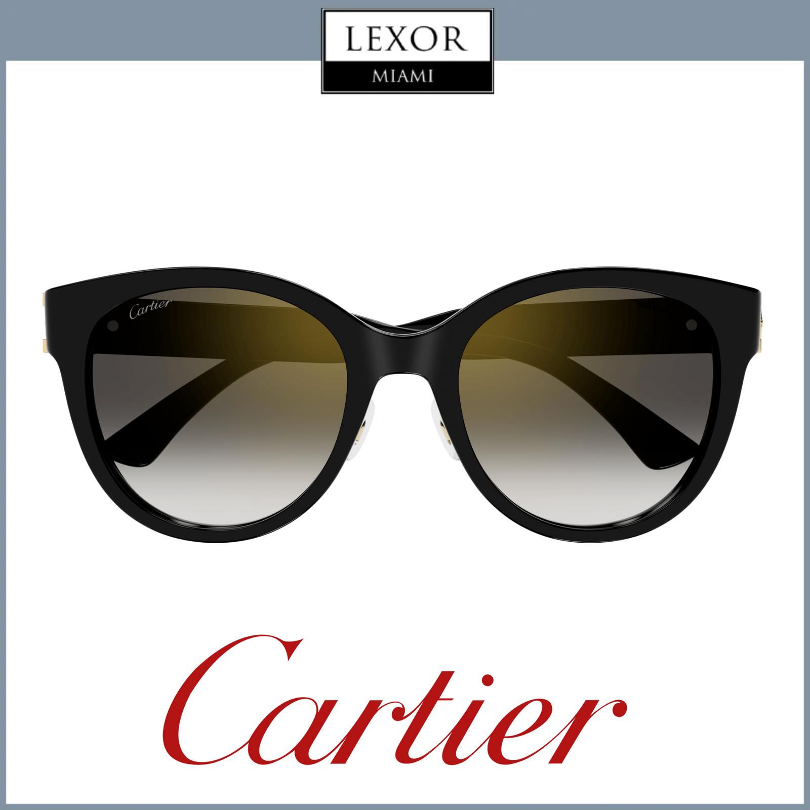 Cartier Sunglass CT0438SA-001 56 WOMAN upc: 843023172589 – Lexor Miami