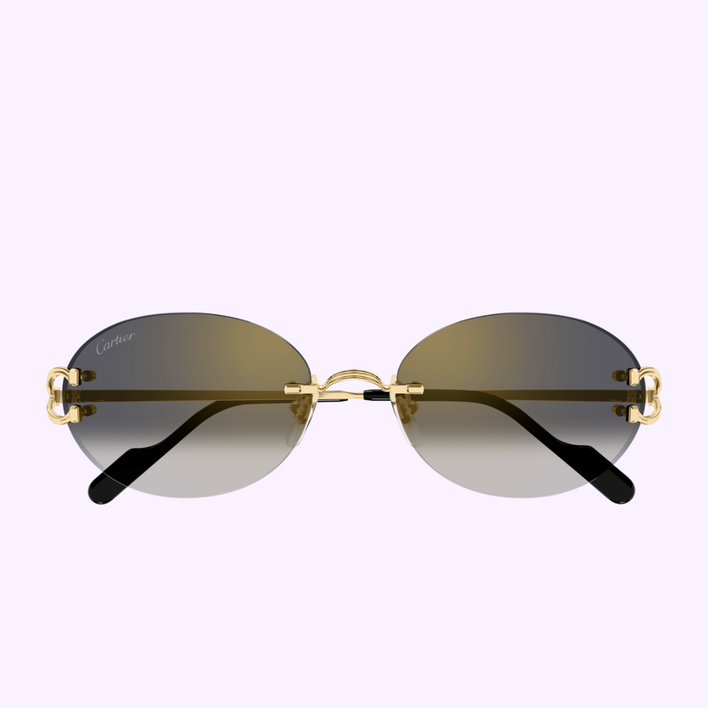 Cartier Sunglasses CORE RANGE CT0551S-001 55 Women upc 843023181505